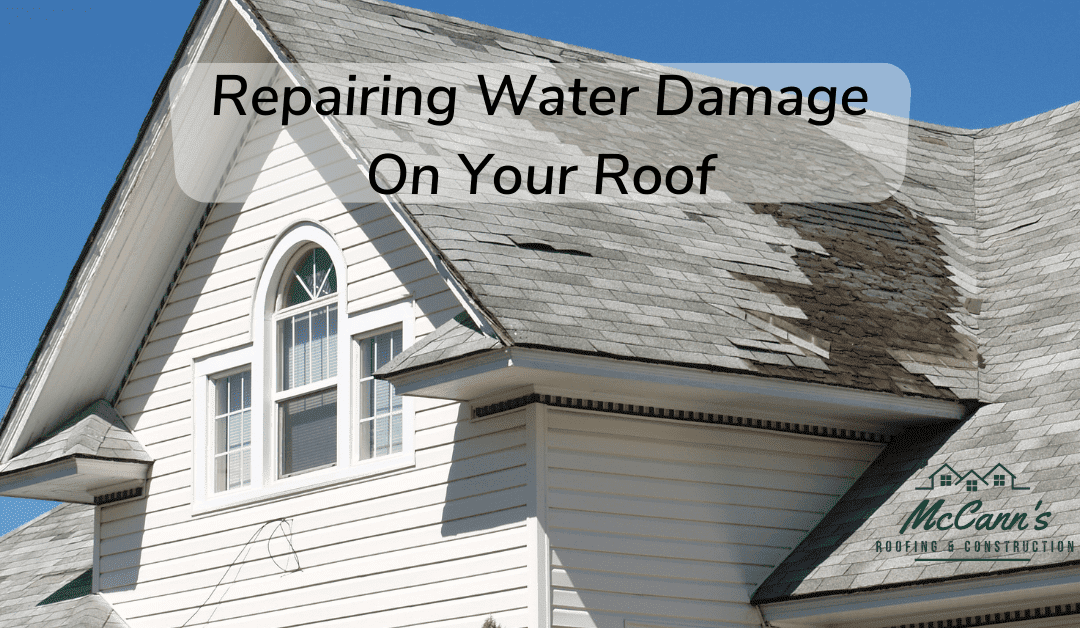 Repairing Water Damage On Your Roof